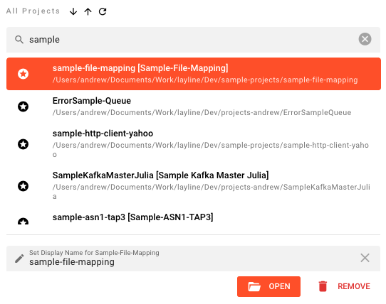 Project details panel — display name field, Open and Remove buttons