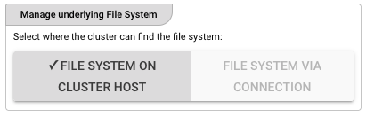 Manage underlying File System — Cluster Host