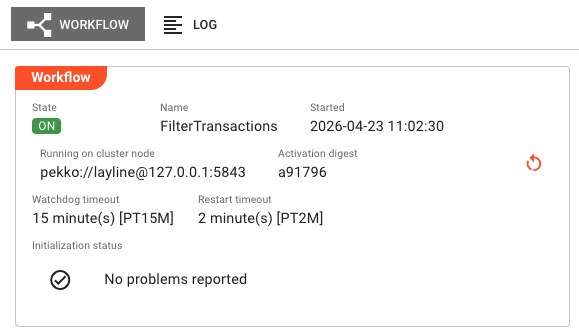 Workflow detail panel showing state, name, started time, cluster node address, timeouts, and initialization status
